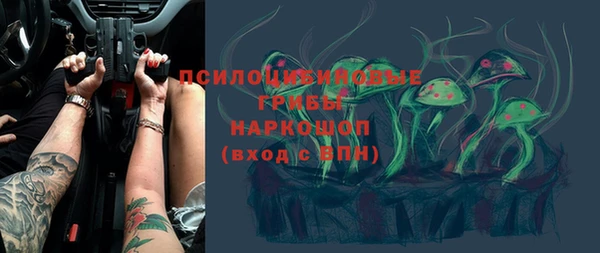 apvp Няндома