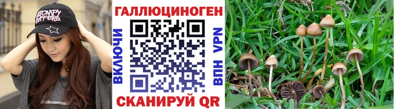 что такое наркотик  Закаменск  Псилоцибиновые грибы ЛСД 